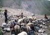 AbdolAli_R (3)_resize.jpg